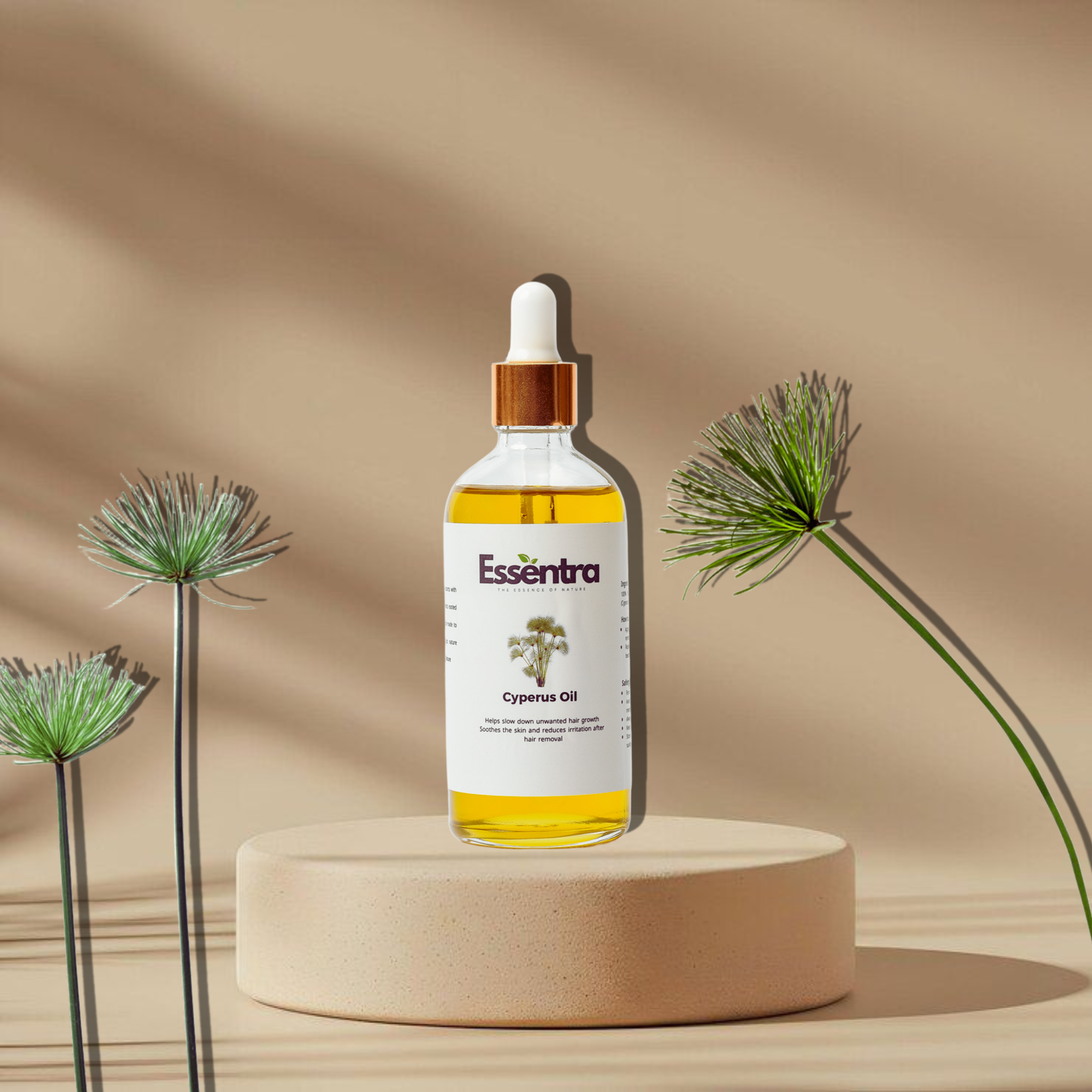 Cyperus Oil
