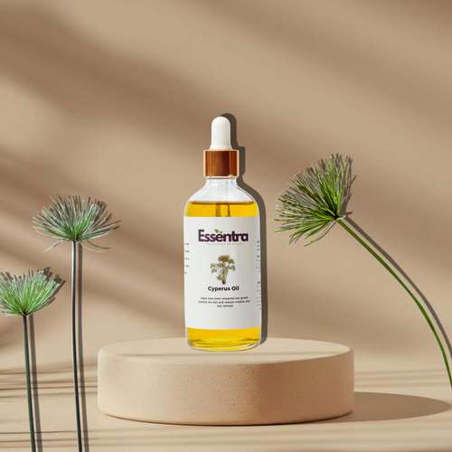 Cyperus Oil